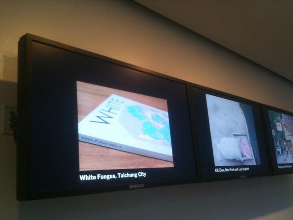 White Fungus at MoMA